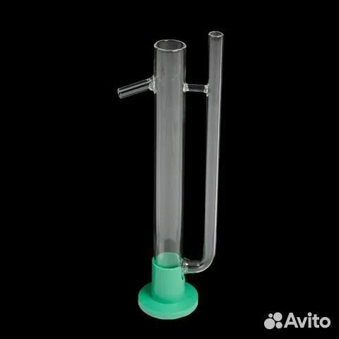 Попугай в ассортименте