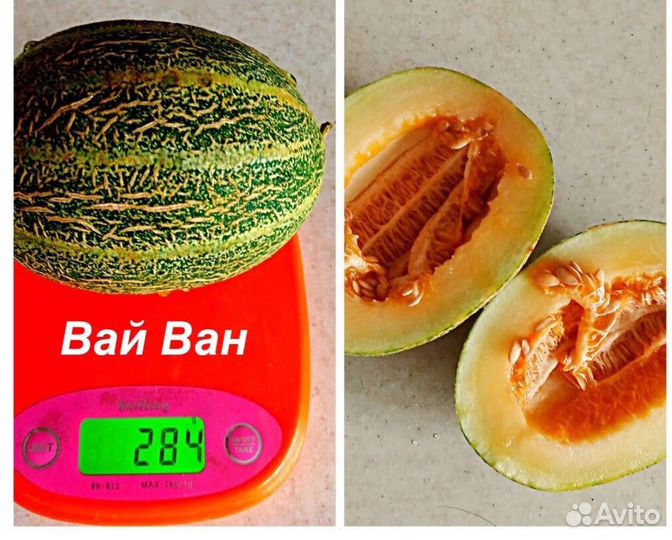 Экзотические дыньки,семена. Китай,Вьетнам