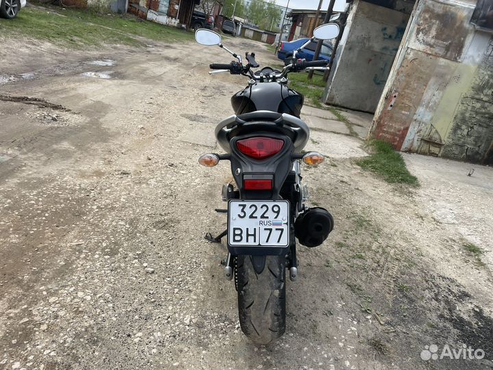 Suzuki SFV 400 Gladius