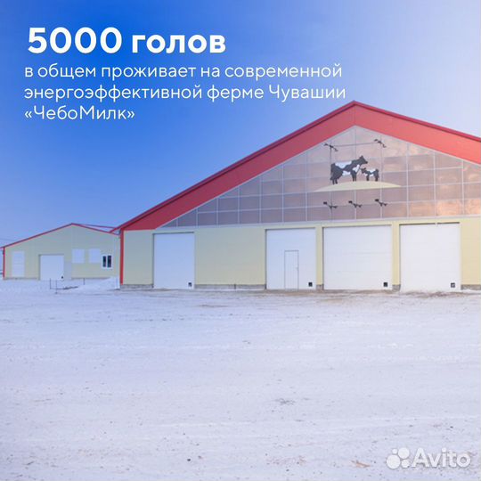 Рабочий на комплекс