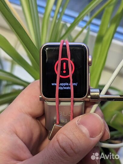 Прошивка / Восстановление / Ремонт Apple Watch