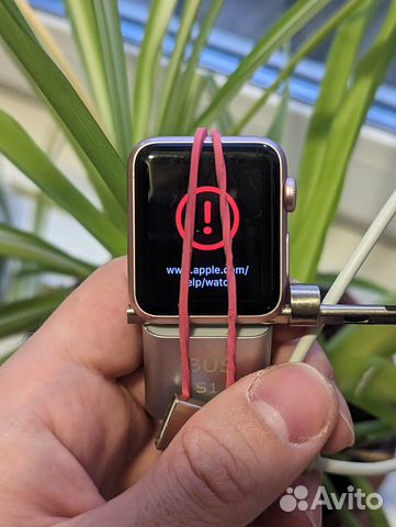 Прошивка / Восстановление / Ремонт Apple Watch
