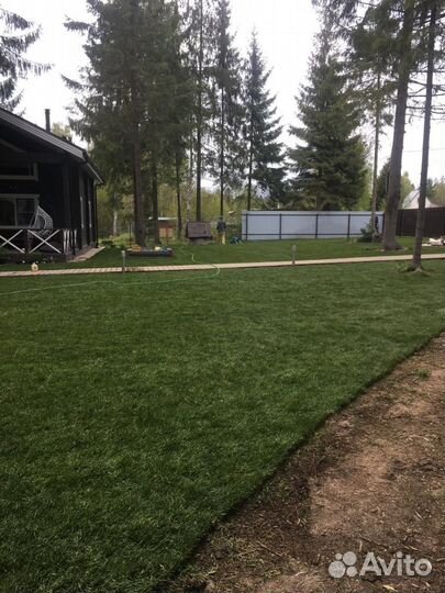 Рулонный газон/продажа/укладка
