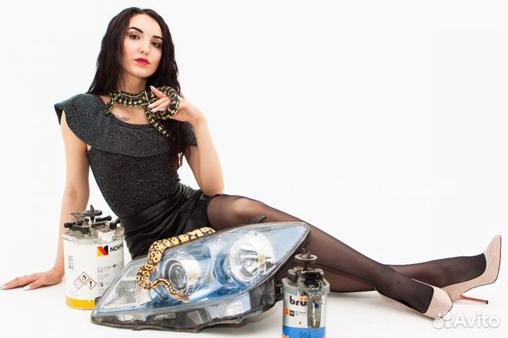 Рептилии, аренда