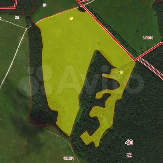 Участок 25 га (СНТ, ДНП)