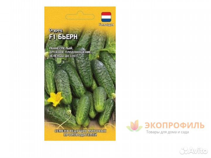 Огурец Бьерн