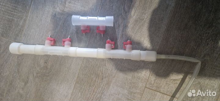 Брудер для цыплят