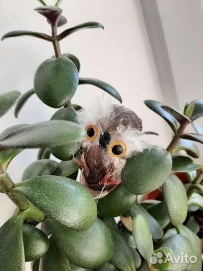 Птичка-совенок декор