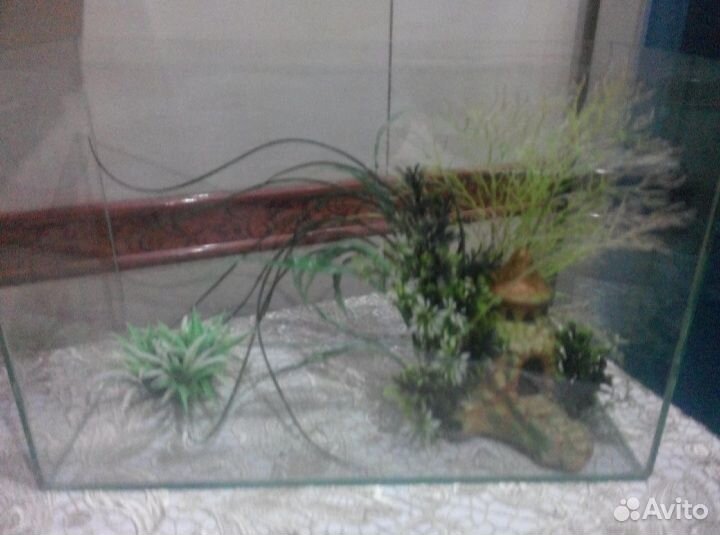 Аквариум + декор в подарок