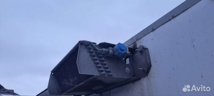 Реф на газель корейский