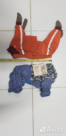 Одежда для Собаки