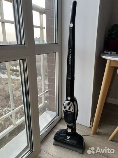 Пылесос Electrolux Ergorapido
