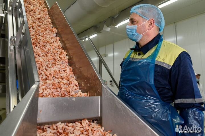 Обработчик рыбы