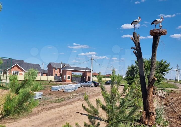 Участок 7,5 сот. (СНТ, ДНП)