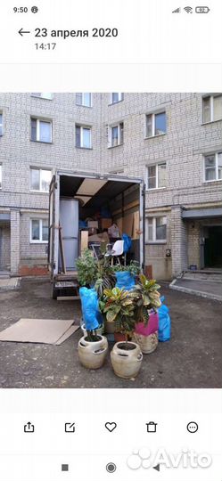 Грузоперевозки