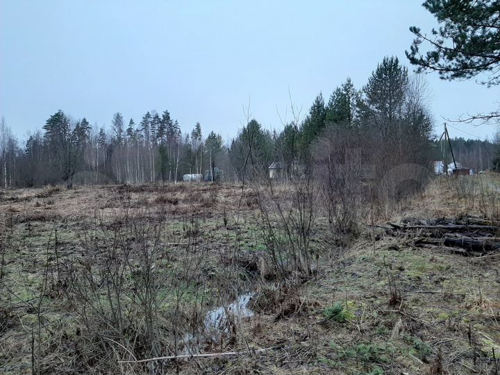 Участок 12 сот. (СНТ, ДНП)