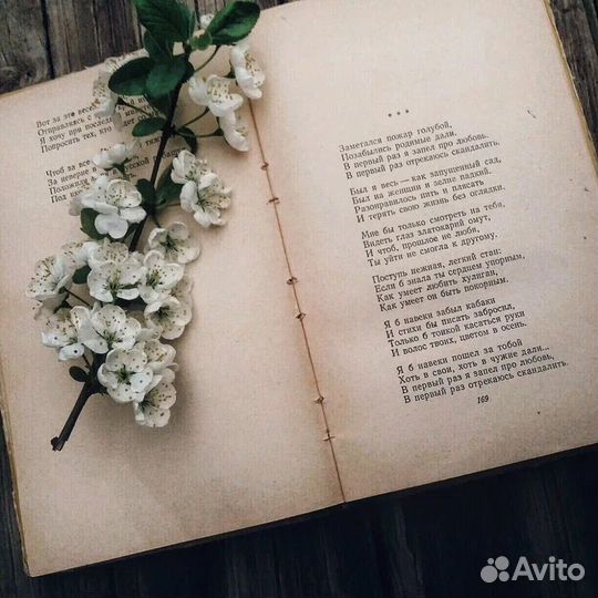 Стихи на заказ