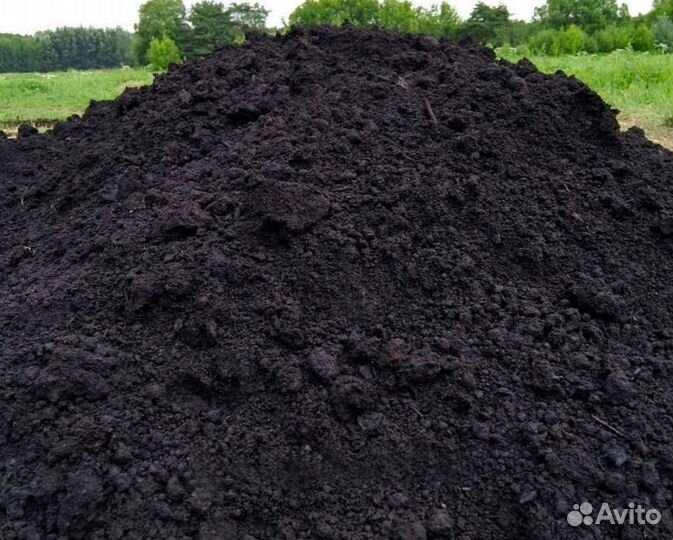 Земля
