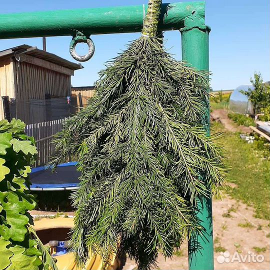 Веники березовые