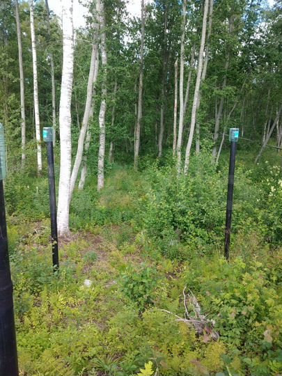 Участок 8,5 сот. (ИЖС)