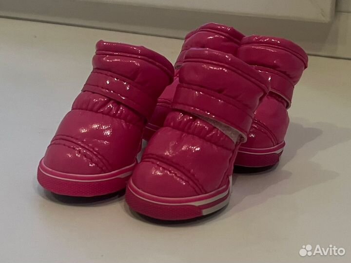 Одежда для собак