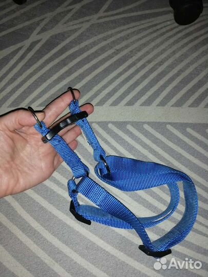 Шлейка для собаки и стойка для кошек