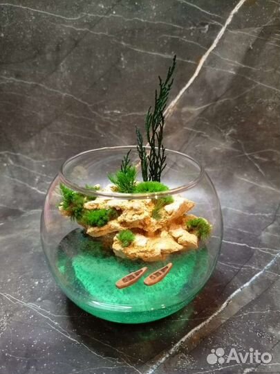 Флорариум (Моссариум)