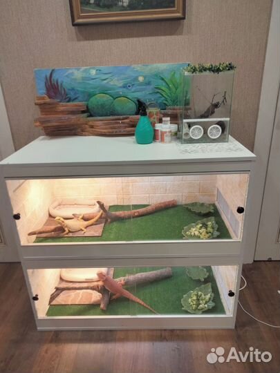 Террариум для рептилий