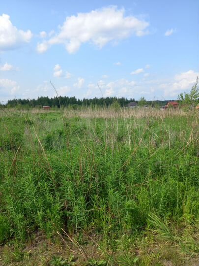 Участок 30 сот. (ИЖС)