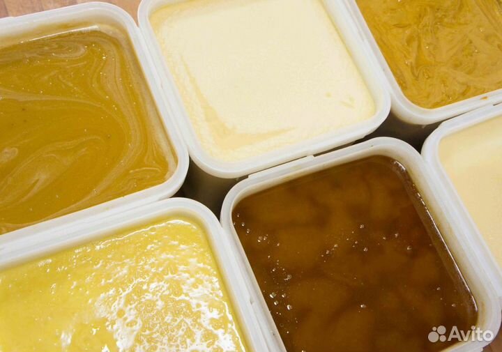 2024 Мёд натуральный с Алтая опт