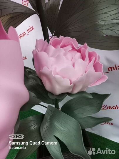 Ростовой пион с подсветкой