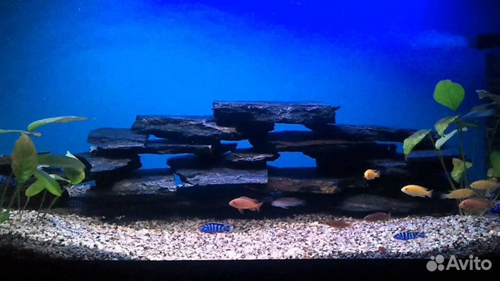 Черный сланец для аквариума