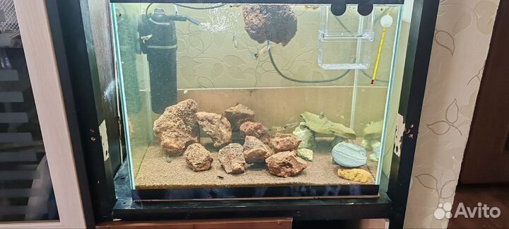 Украшение для аквариума