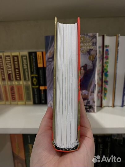 Магистр дьявольского культа 1 том