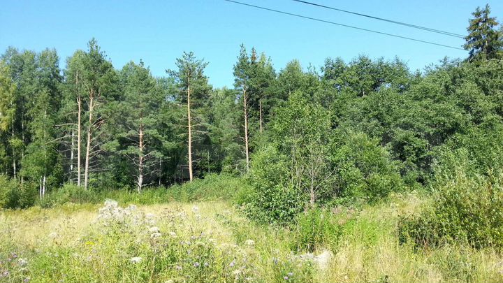 Участок 6,93 га (СНТ, ДНП)