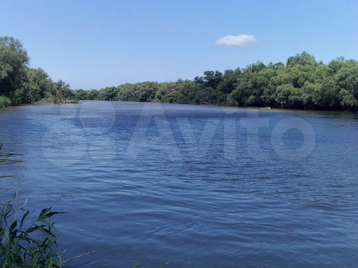 Участок 3,1 га (СНТ, ДНП)