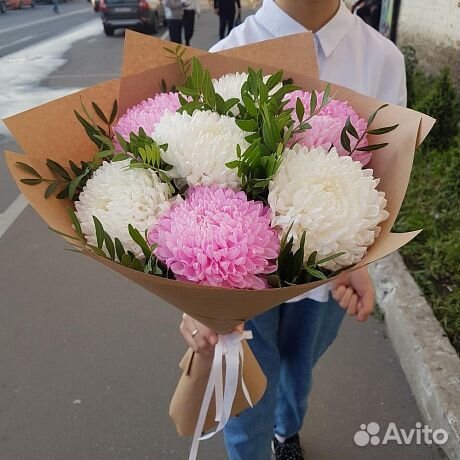 Сортовые хризантемы