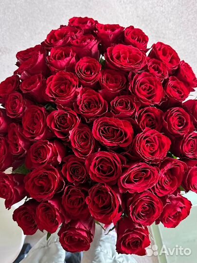Букет Недели51 роза 50см.Доставка