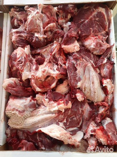 Корм для собак, говядина