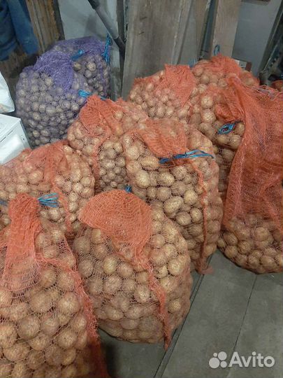Продам мелкий картофель