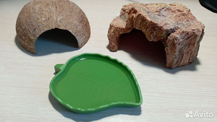 Ящерица эублефар