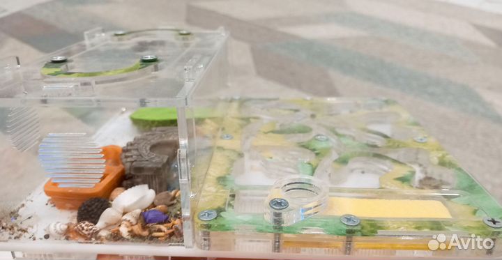 Муравьиная ферма бу