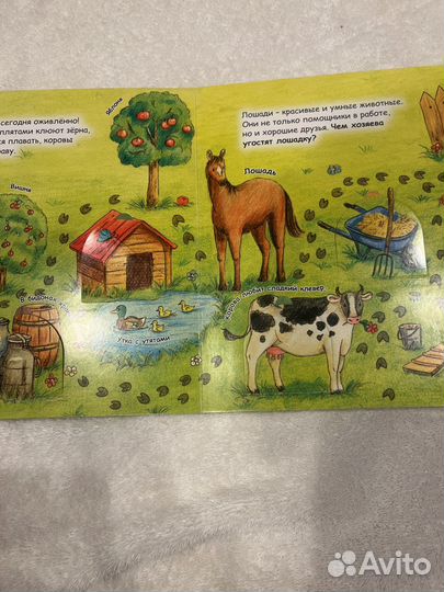 Книга с окошками про животных