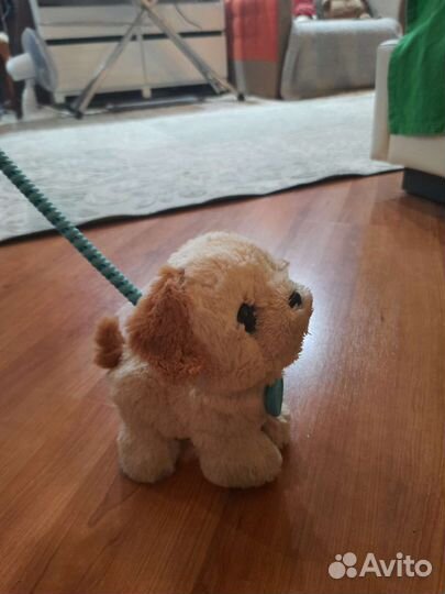 Собачка на поводке игрушка