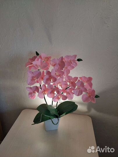 Орхидея