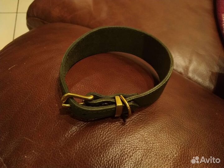 Новый ошейник