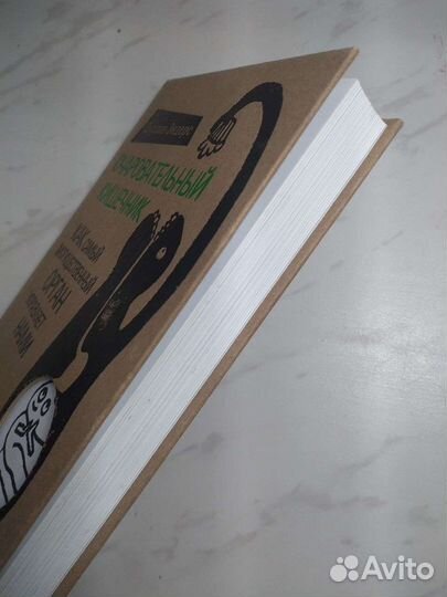 Книги Эшли Дьюал и Джулии Эндерс