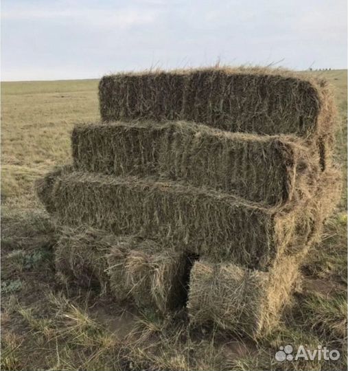Сено в тюках с доставкой