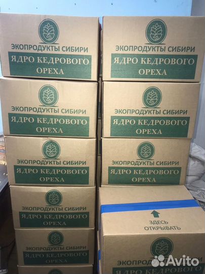 Ядра кедровых орехов