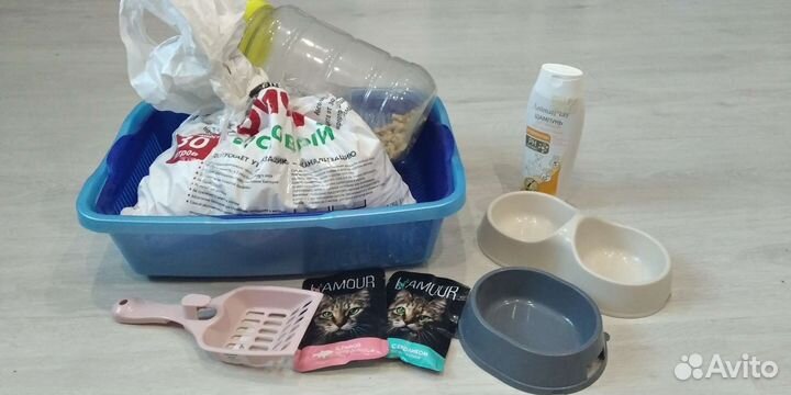 Лоток, наполнитель, шампунь, корм, миски, совочек